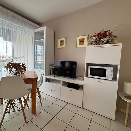 Apartment Avec Terrasse Proche Et Parking Gratuit - Fr-1-239-955 Urrugne